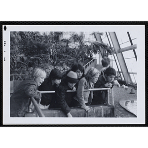 Boys lean over the railing of an aviary at a zoo