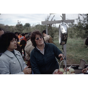 Women buying apples at an orchard