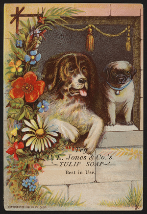 Trade card for Tulip Soap, C.L. Jones & Co., Cambridge, Mass., 1881
