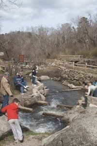 People watching the herring run at the Stony Brook Grist Mill and Museum