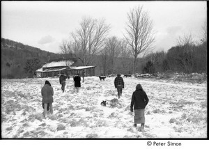 Group walking back to the farmhouse