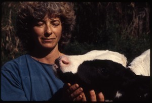 Nina Keller with Holstein calf, Wendell Farm