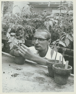Arthur Gentile in Botany, working with plants