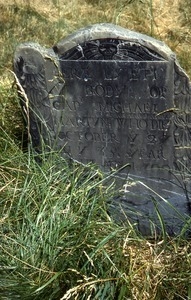 Copp's Hill Burying Ground (Boston, Mass.) gravestone: Martyn, Michael, (d. 1700)