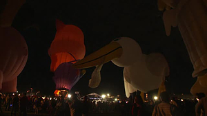 Balloon Fiesta; Day 4, Part 4 of 4