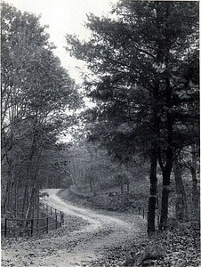 Great Woods Road near eastern entrance, Lynn Woods