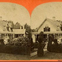 Stereoview