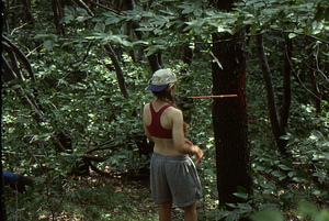 Dawn Biehler (Class of 1997) cores a black cherry (Prunus serotina) sample tree in Permanent Plot 0445.