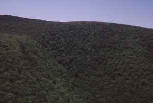 Aerial oblique view of west face of Moon Hollow headwall on 28 May 1972 in the Hopkins Forest.