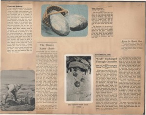 Scrapbooks of Althea Boxell (1/19/1910 - 10/4/1988), Book 5, Page 7