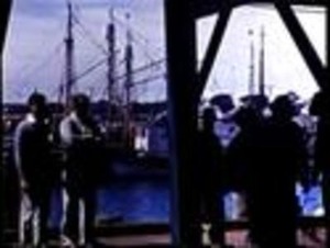 Fishing Fleet - Provincetown in the 1940's