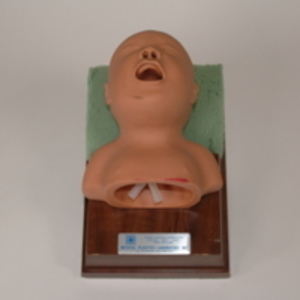 Infant respiratory model, 1987-2000