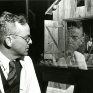 Alan R. Moritz with Barn Nutshell Study of Unexplained Death, circa 1948.