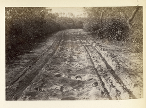 Provincetown to Boston, station no. 250, Bourne