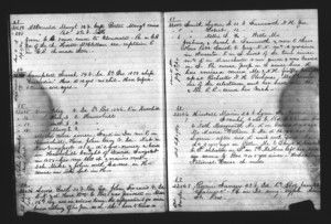 Tewksbury Almshouse Intake Record: McDonald, Margaret