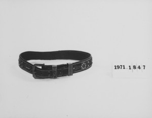 Dog Collar