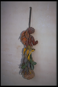 Dried gourd hanging