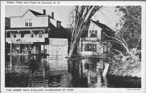 Fallen trees and flood at Concord, New Hampshire, photo by International News Service, New York, New York