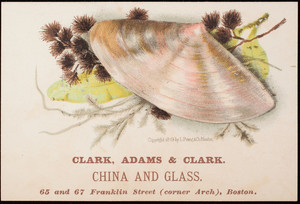 Trade card, Clark, Adams & Clark, china and glass, 75 and 67 Franklin Street, corner Arch, Boston, Mass.