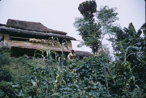 House and garden in rural Nepal