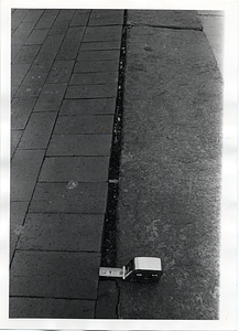 Detail of gap in sidewalk in Boston Public Garden