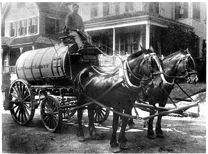 Horses and Wagon