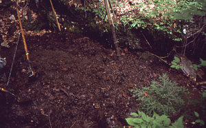 Weir Day 10 August 1993. Material excavated from South Branch Birch Brook ponding basin, downstream from v-notch.