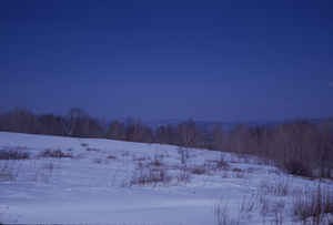Panorama to the East, Jim Smith Hill, Taconic Crest. Image 4. View to north-northeast.