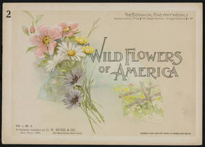 Wild flowers of America : flowers of every state in the American Union. Vol. 1., No. 02