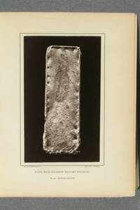[Woodburytypes and heliotypes from photographs of specimens and photomicrographs in The medical and surgical history of the war of the rebellion, medical history. Part II, vol. 1, being the second medical volume]
