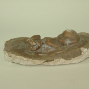 Dickinson-Belskie fetus bookened partial molds, 1939-1950