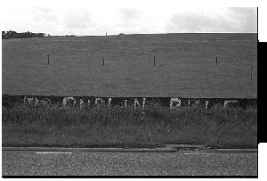 Loyalist graffiti near Saintfield, Co. Down, "No Dublin rule."  Photographs show high grass almost blocking the words