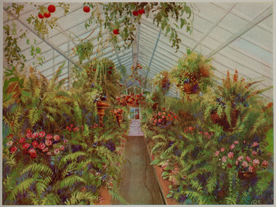 American greenhouses, a book of conservatories, show houses, palm houses, solariums, supplementary catalog, American Greenhouse Manufacturing Co., Chicago, Illinois