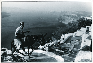 Santorini donkey