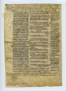Testamentum Novum, Cum Glossis Bedae, Hieronymi, et Gregorii