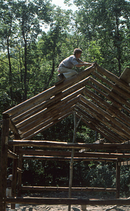 Sugar maple (Acer saccharum) branch being nailed to roof peak by Henry Art at south end of barn frame at the Moon Barn Raising at entrance to Hopkins Forest on 2 August 1975.