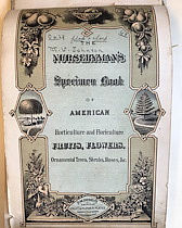 The Nurseryman's specimen book of American horticulture and floriculture: fruits, flowers, ornamental trees, shrubs, roses, &c.