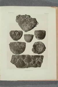 [Albertype plates of fossils and heliotype plates of Indian artifacts in Memoirs of the Geological survey of Kentucky]