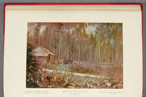 [Halftone prints in Anthony's photographic bulletin, v. 26, 1895]