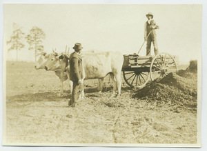 Booker T. Washington with student on ox cart