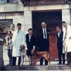Joseph Murray with Roy Calne, Gertrude Elion, George Hitchings and surviving transplant dogs.