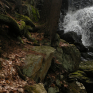 Roberts Meadow Dam rocks