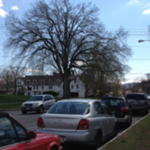 Northampton Neighborhood