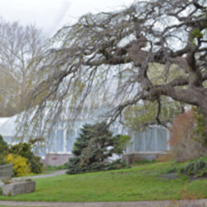 Spring in the Smith Botanical Garden