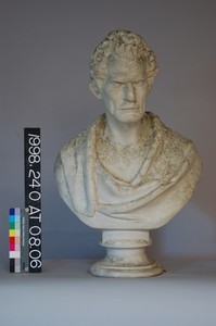 Bust