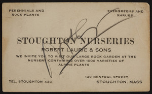 Trade card for Stoughton Nurseries, Robert Laurie & Sons, 149 Central Street, Stoughton, Mass, 1920-1940