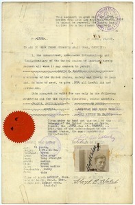 Passport for Lloyd E. Walsh