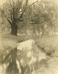 Pond, Campus