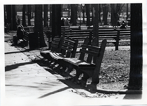 Benches in Boston Common