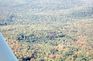Aerial oblique view South across Primmer Strawberry field on 14 October 1971.